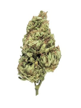 *MEGA SUN GROWN SALE* SOUR LEMON APPLE F4 #1 28% THC