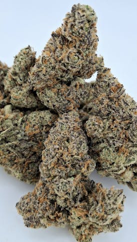 DREAM QUEEN *Specialty Exotic Sativa* By WICKED GOOD FIRE/NORTHEAST GROWING CO.