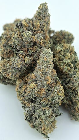 DIRTY TAXI *Super Exotic Next Level FIRE* Bred by TOP DAWG SEEDS/Grown By LEAF LABS