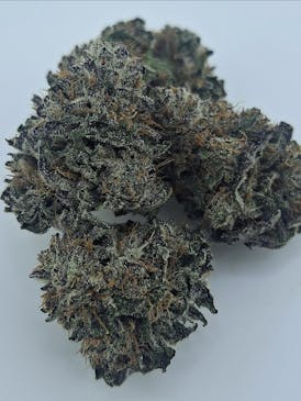 STRAWBERRY-LEMONADE N' CREAM *Exclusive Only Found Here* By DIRTY BIRD GENETICS