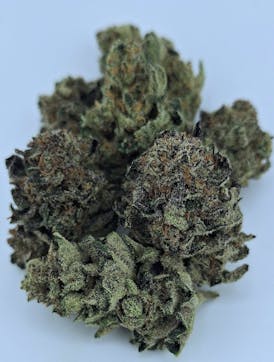 **$100/OZ SALE** NUCLEAR SKUNK *Breeder Drop!!* Bred And Grown By DIRTY BIRD GENETICS