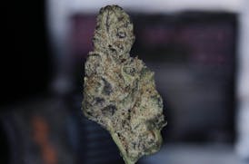 **$90/OZ SMALLS SALE** GLITTER BOMB *Top Tier Exotic* By NORTHERN TERPS