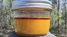 *EXCLUSIVE 1/2OZ SALE* CARIBBEAN CREAM Top Shelf Live Resin By NORTHERN TERPS