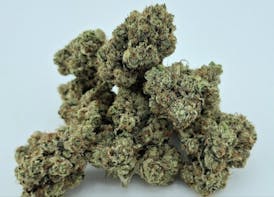 HELLS ANGELS OG (Personal Favorite OG Of All Time) By SMALL BARN FARMS
