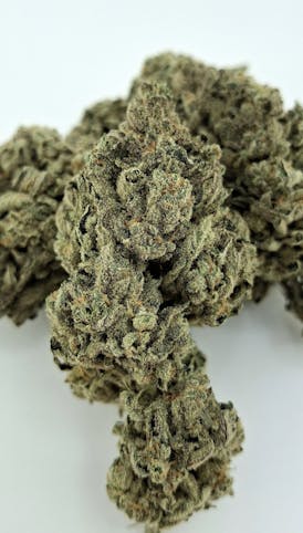PRE 2000 KALI MIST *Very Limited Specialty Offer* Multi Cup Winning Sativa By 2 FAT CATS ORGANICS