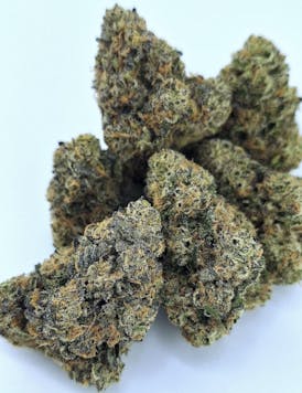 LEMON CHIESEL Bx3 *Exclusive Top Shelf Exotic* Only Found Here By 2 FAT CATS ORGANICS