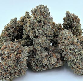 PURPLE HUCKLEBERRY DIESEL *Infamous Powerhouse Exotic 30+% THC* By 2 FAT CATS ORGANICS