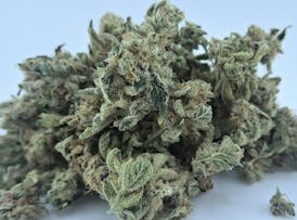**$25 1/2OZ** WHITE BUBBA COOKIES *Trim Bin Sugar Bud Smalls* By DIRTY BIRD GENETICS