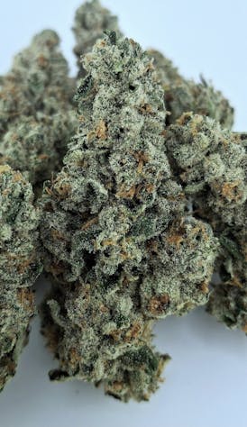 1/2OZ SALE **NEW SPECIALTY DROP** MARMALADE By FRAKTAL (Limited Sale Price)