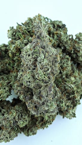 *1/2OZ SALE* 1992 AFGHAN SKUNK HAZE Bred By MR. NICE/Rare Classic Grown By 2 FAT CATS ORGANICS