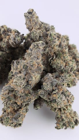 GRAPEFRUIT CHEMONADE-4DD *32.1% THC @landrace_funkmaster (Breeder/4th Generation Farmer)