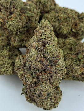 **1/2OZ SALE** CHEMDOG × OG DAY CHANGER *(Wolfie) Bred Locally By SKUNKFOOT FARMS