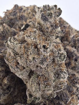 SUB ZERO **INSANE SPECIALTY EXOTIC** (Record Breaking Terps And THC)