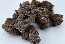 *1/2OZ SALE* SNAKE EYES **Exotic Top Shelf/Craft Living Soil** By 2 FAT CATS ORGANICS