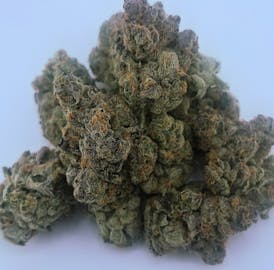 **NEW 1/2OZ SALE** ESPRESSO CHEESECAKE Limited Release By CLOUD 9 CANNABIS