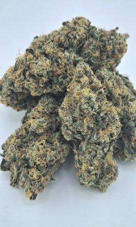 1/2OZ SALE **OFFICIAL DROP** GREEN CRACK Powerhouse Sativa Grown Indoors By 2 FAT CATS ORGANICS