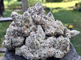 FROZEN BAG Super Limited/Super Exotic Release-*SOLD BY THE 1/8th ONLY*