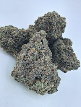 **INSANE FIRE** F1 DURBAN GUAVA *Limited Special Release* By SEAL COVE BOTANICALS