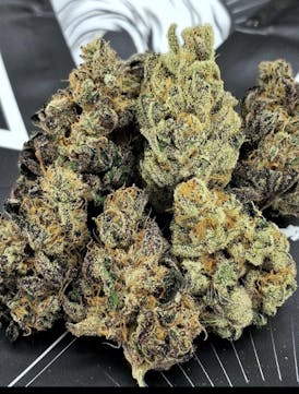 **$80/OZ SUPER SALE** GRAPE SEX MELON Bred And Grown By DIRTY BIRD GENETICS