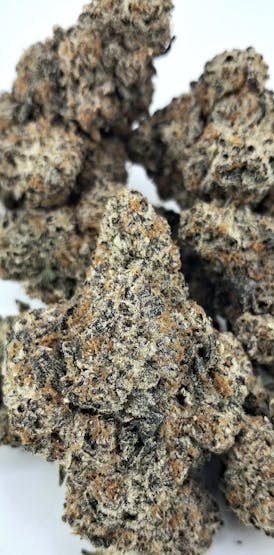 *SUPER SALE* KOSHER GARLIC MINTZ #75 *Top Shelf Exotic Drop* By SEAL COVE BOTANICALS