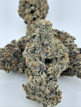 **SUPER SALE** GRAVY #4 (Elite Pheno) 33.9% THC Rare/Limited Exotic By SEAL COVE BOTANICALS