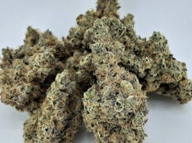 *1 LEFT* BANANA ICEE #7 *Incredibly Exclusive Rare Exotic* By SEAL COVE BOTANICALS