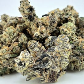 *A+++ Specialty Strain* LUNCH MONEY #50 Exclusive Drop By MAINELY ORGANICS