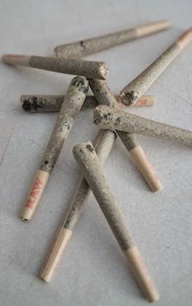**BARGAIN BIN** 1.25g+/- HEAVILY INFUSED *SACRED SUGARS × LUNCH MONEY* LIVE HASH ROSIN PRE ROLLS
