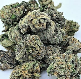 RAINBOW STRIPEZ **SMALLS** Top Shelf Living Soil Indoor Organic By 2 FAT CATS ORGANICS