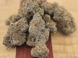 **MEGA 1/2OZ SALE** GARLIC BREATH 2.0 *Thug Pug Genetics Cut* By 2 FAT CATS ORGANICS