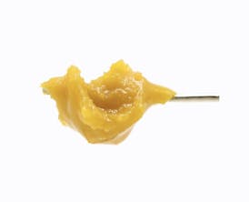 BLUE RUNTZ Top Shelf FIRE Live Resin By NORTHERN TERPS