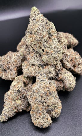 *1/2OZ SALE* GYPSY SNAKE OG Bred And Grown By 2 FAT CATS ORGANICS/@landrace_funkmaster Genetics