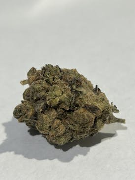 Papaya Bomb *H*
