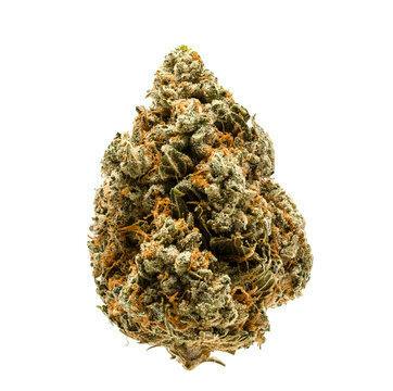 Bubblegum Marker *I* cannabis product