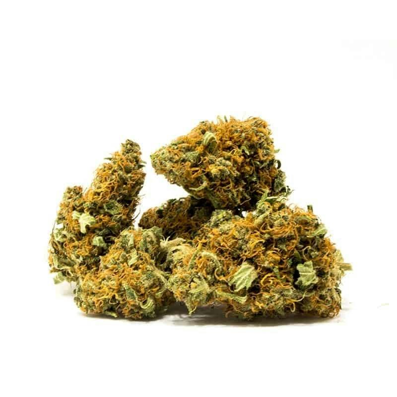 Raspberry Hashplant *H*