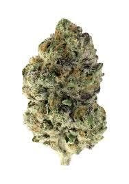 Alien OG *I*