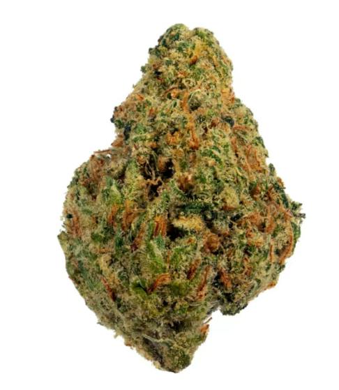 Black Jack *I*