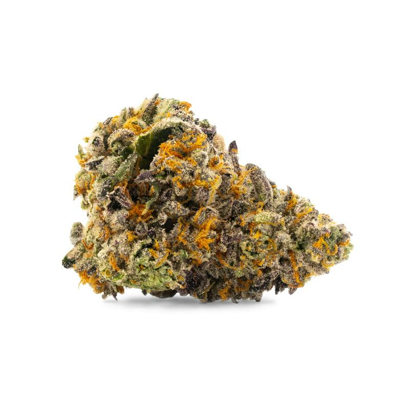 Gelato Mint *H*
