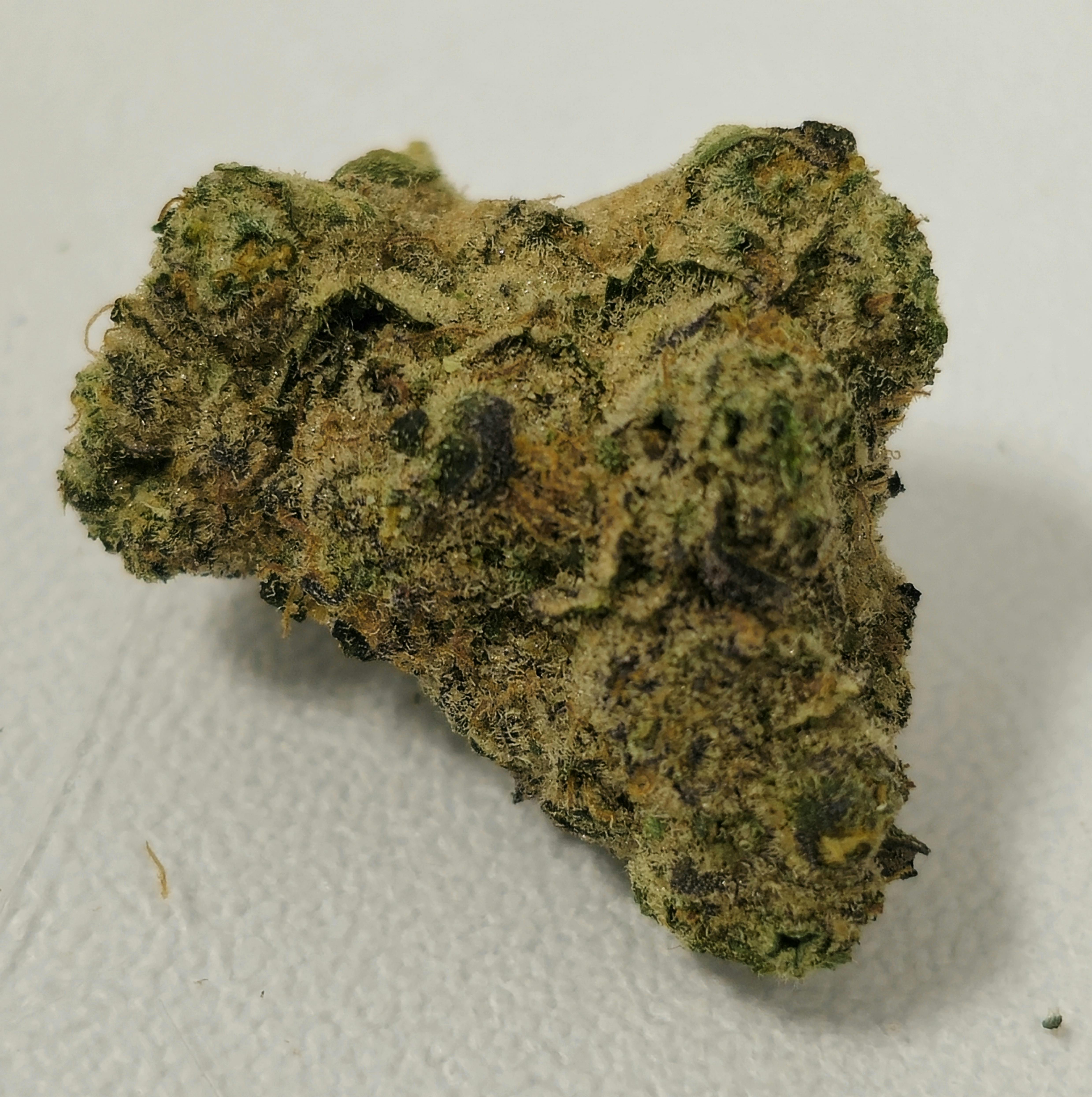 Don Mega | In House | Buds | 28g