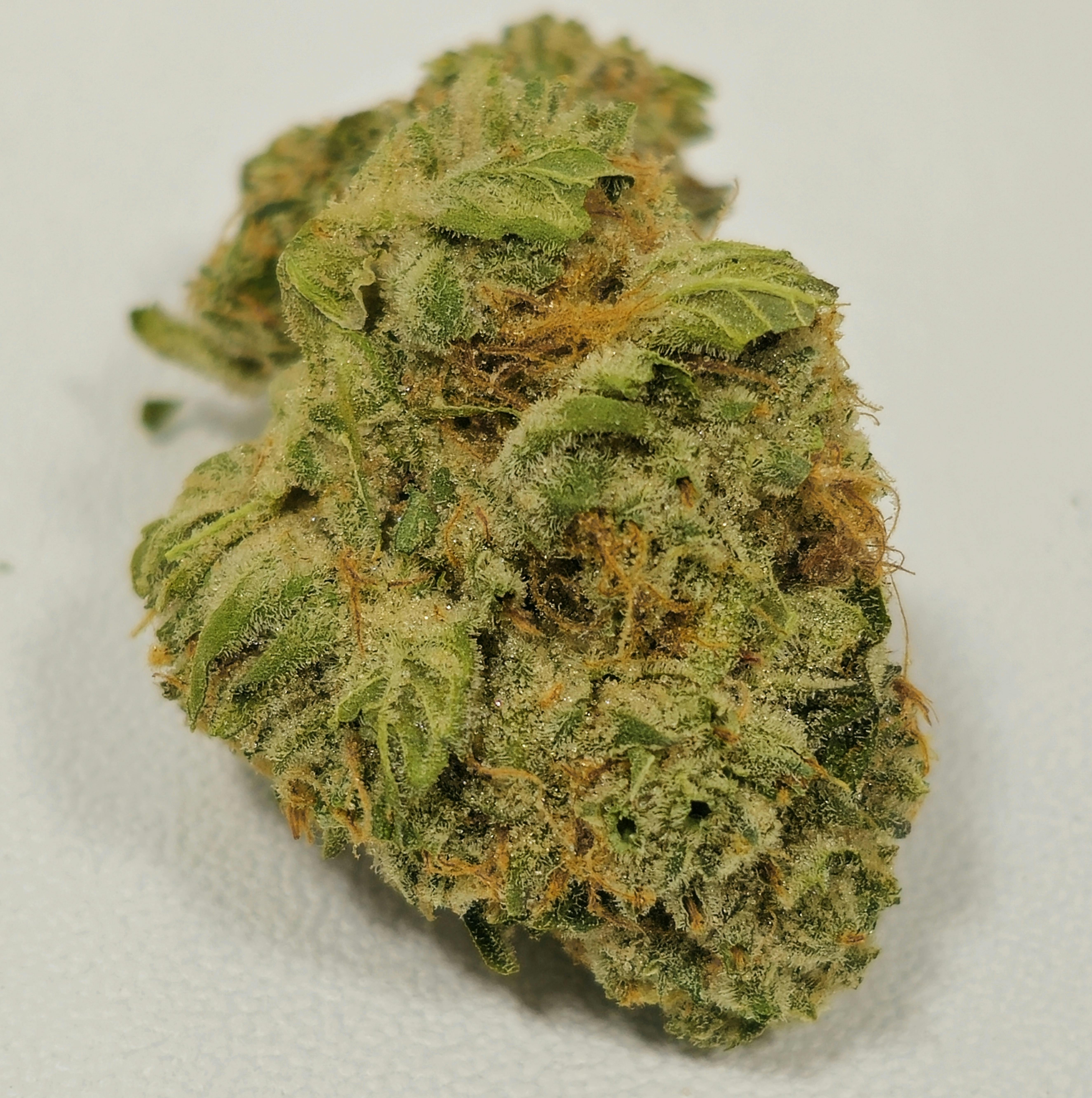 The 4th Kind | Cresco Premium | 3.5g