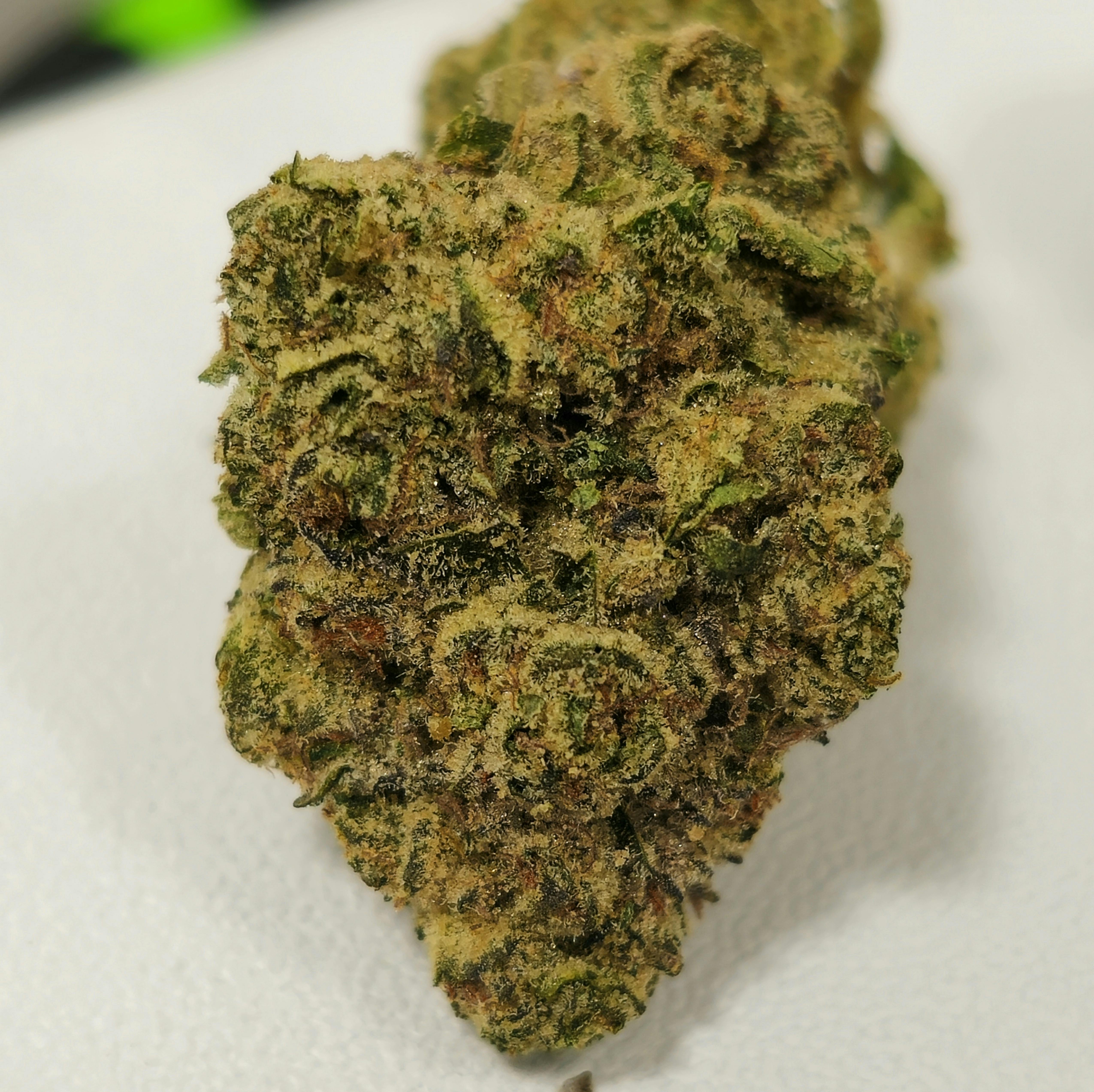Georgia Runtz | In House | Bud | 28g/1oz