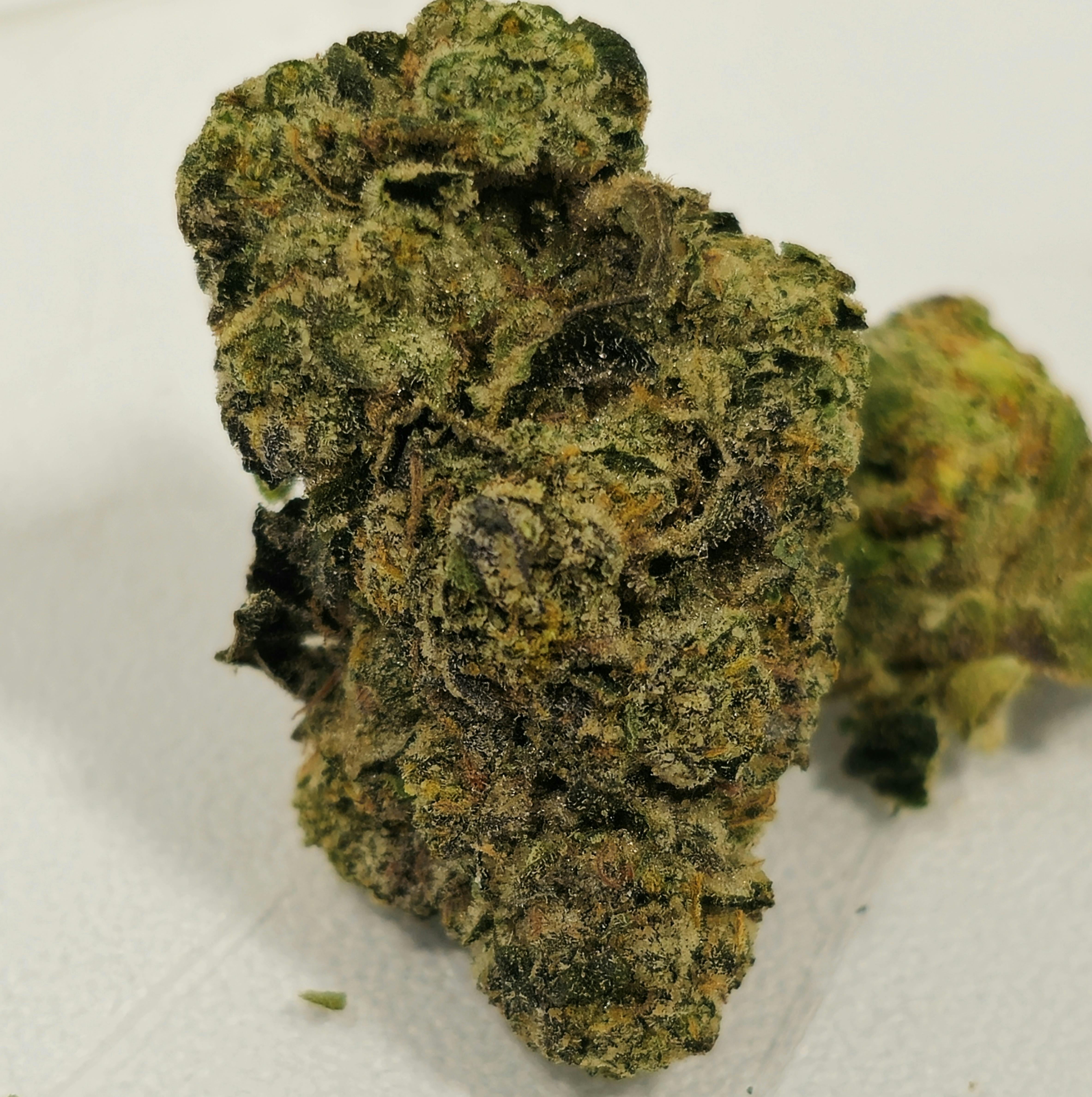 Gorilla Chem OG | Simply Herb | Buds | 28g/1oz