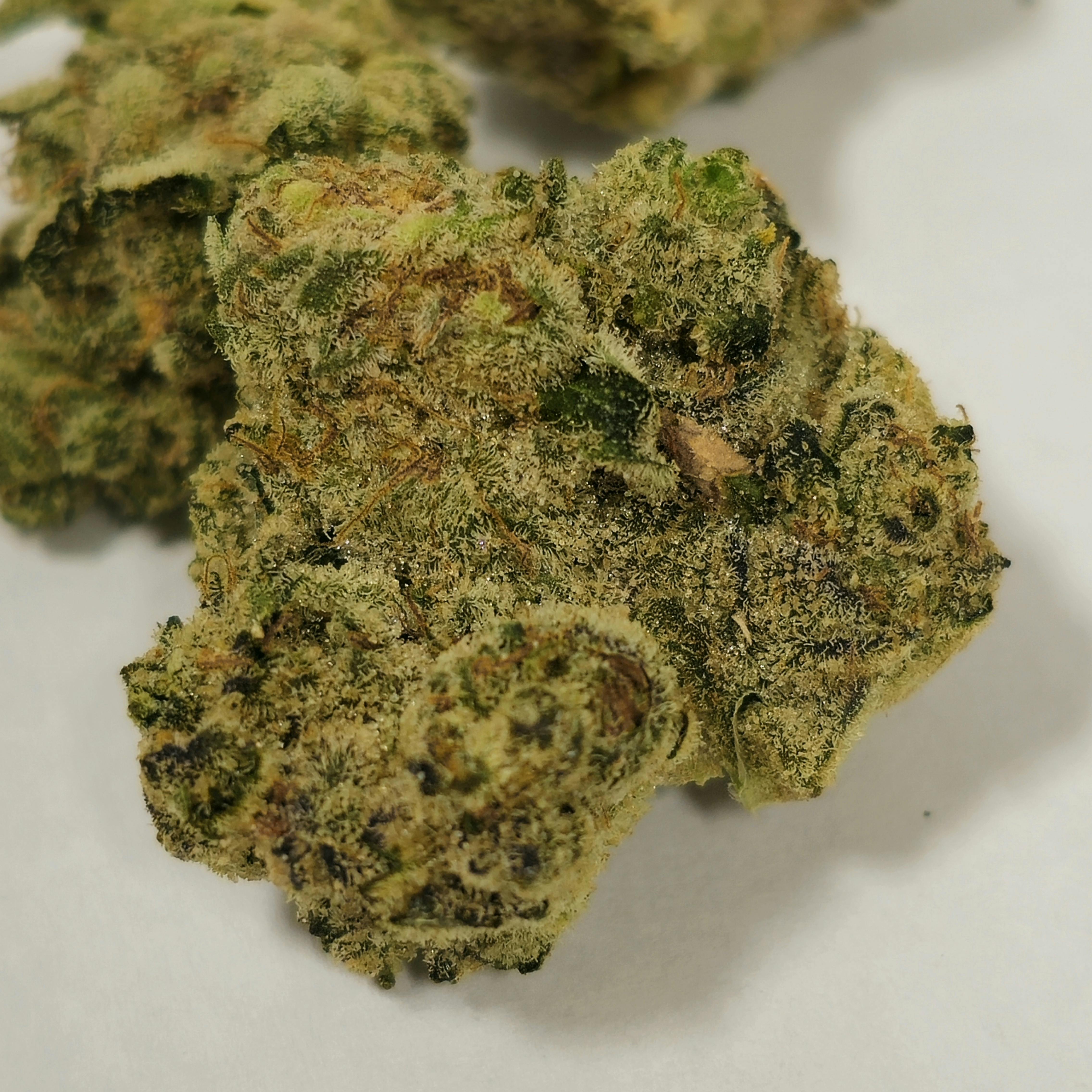 Snake Eyes | Ozone | Buds | 3.5g