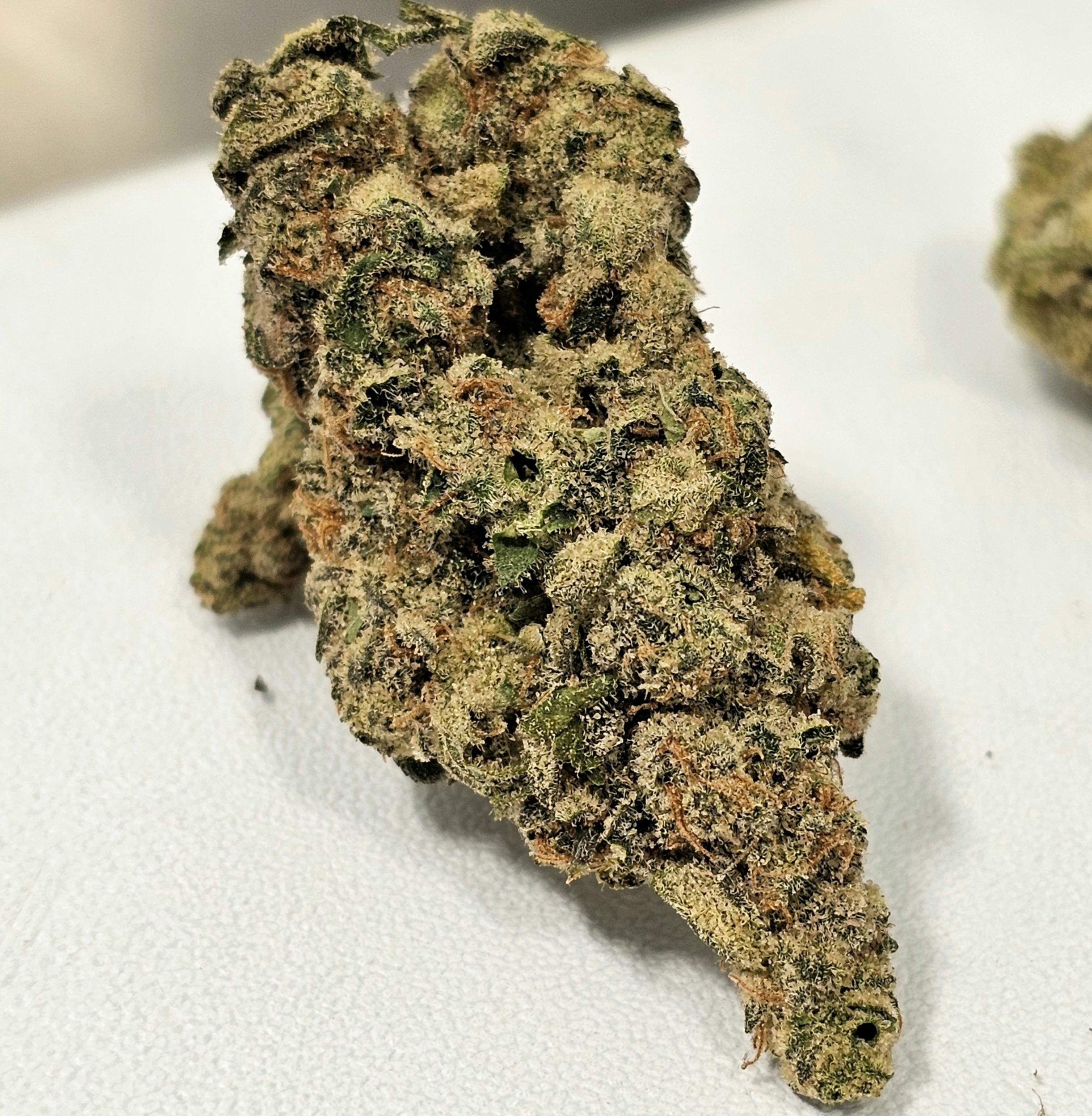 Devi 11 #1 | In House | Buds | 14g