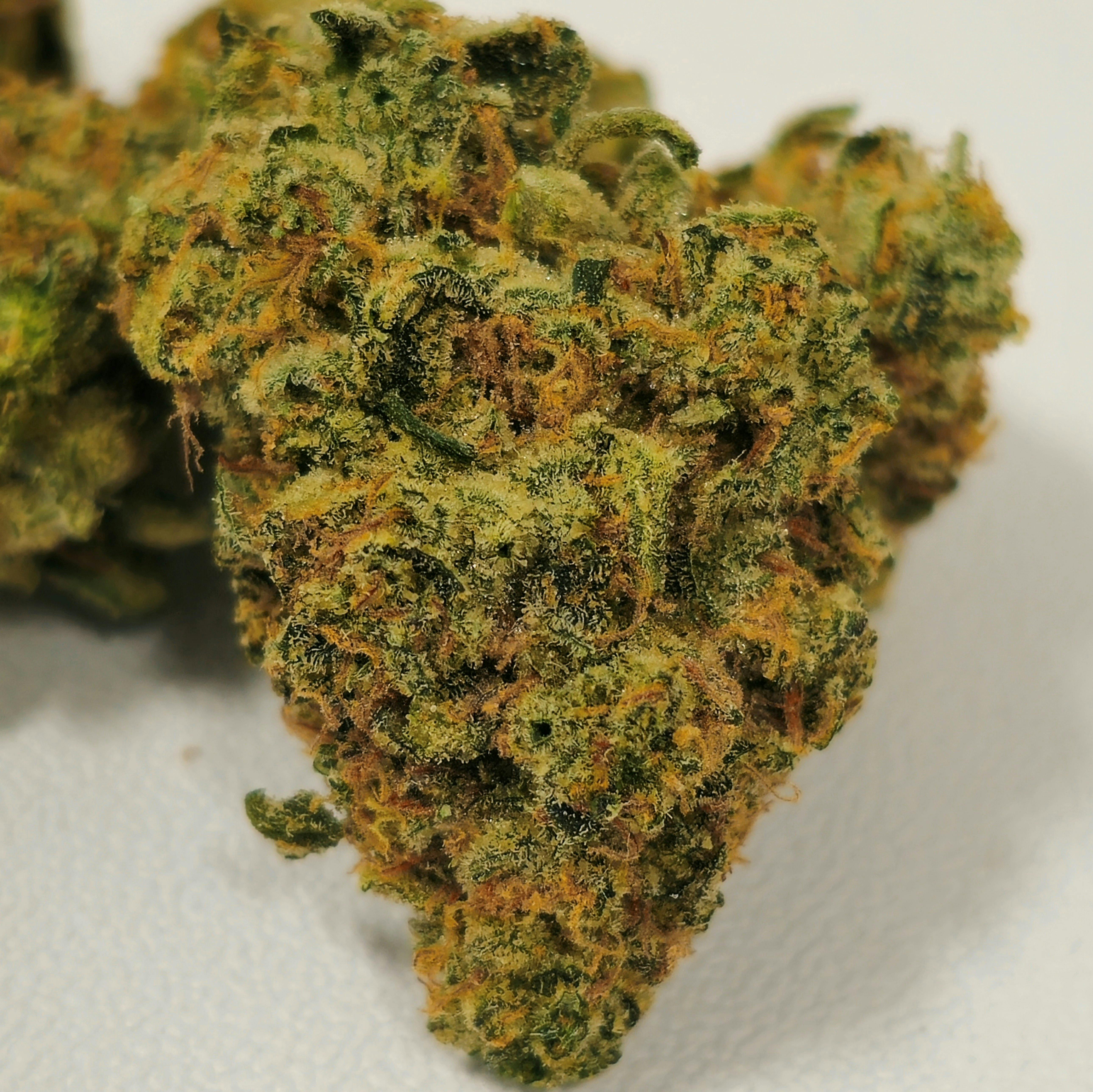 Orange Biscuits | Nature's Heritage | Buds | 3.5g