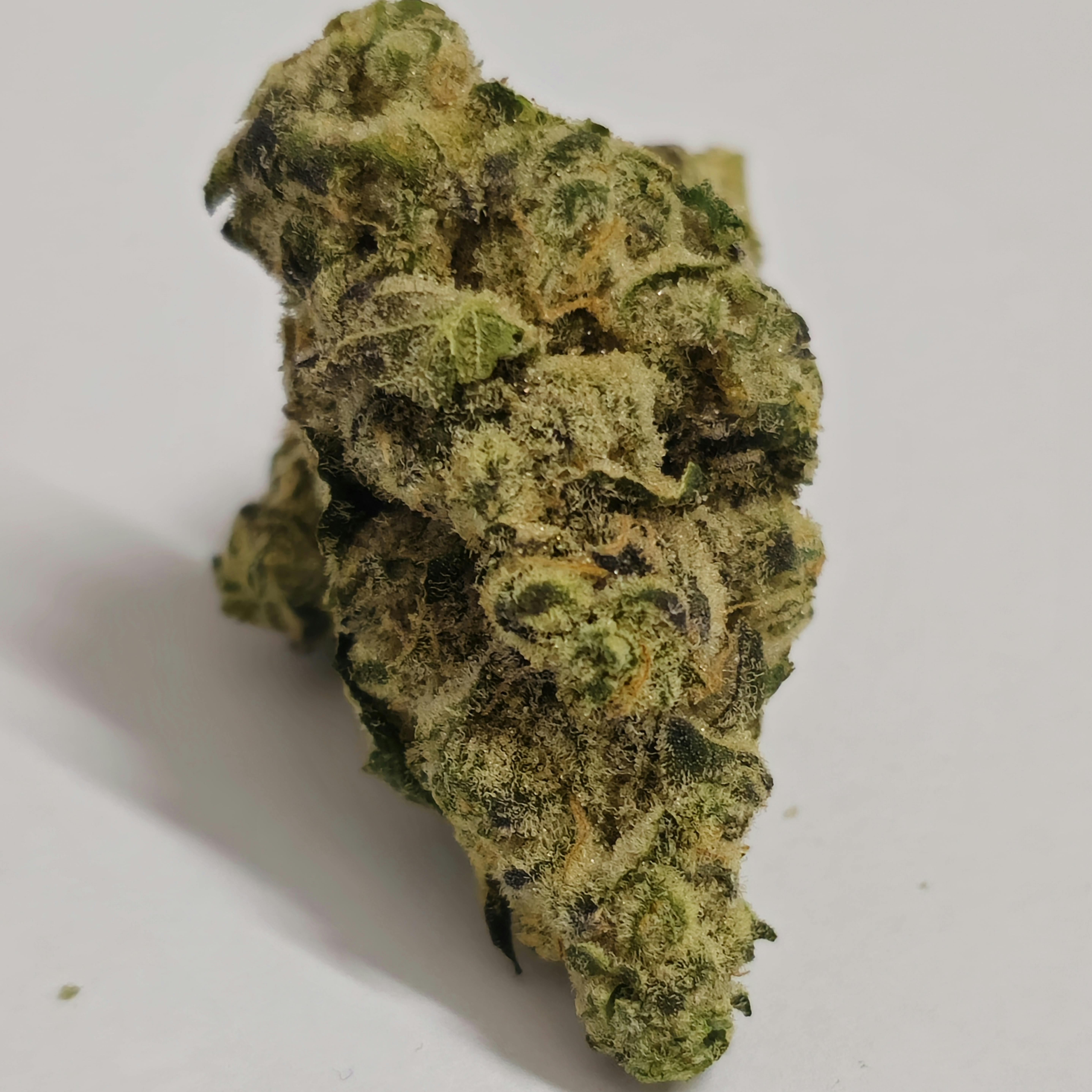 Pineapple Under The Sea | Cresco Premium | 3.5g