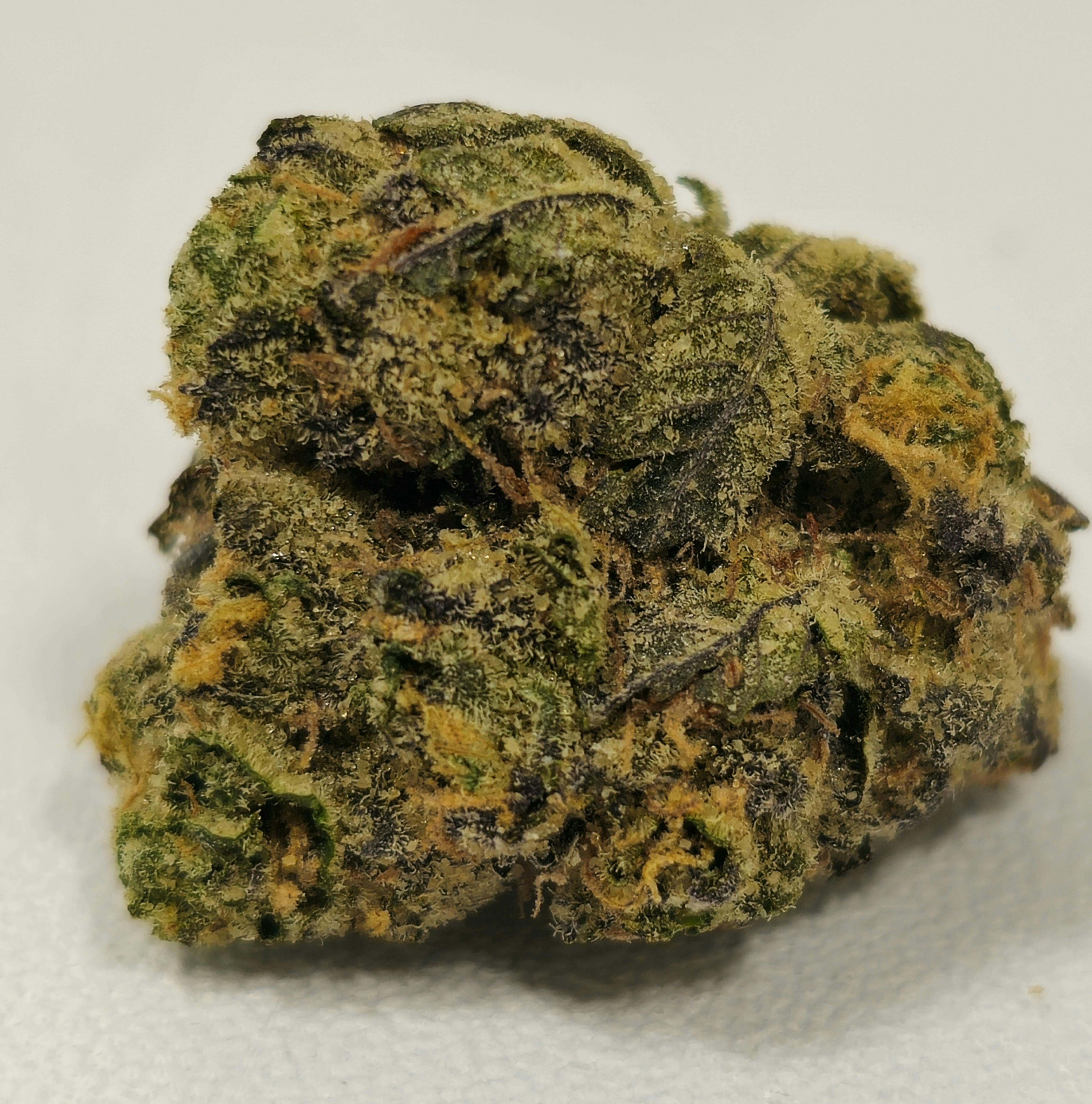 Canal Street Runtz | High Supply | Buds | 28g
