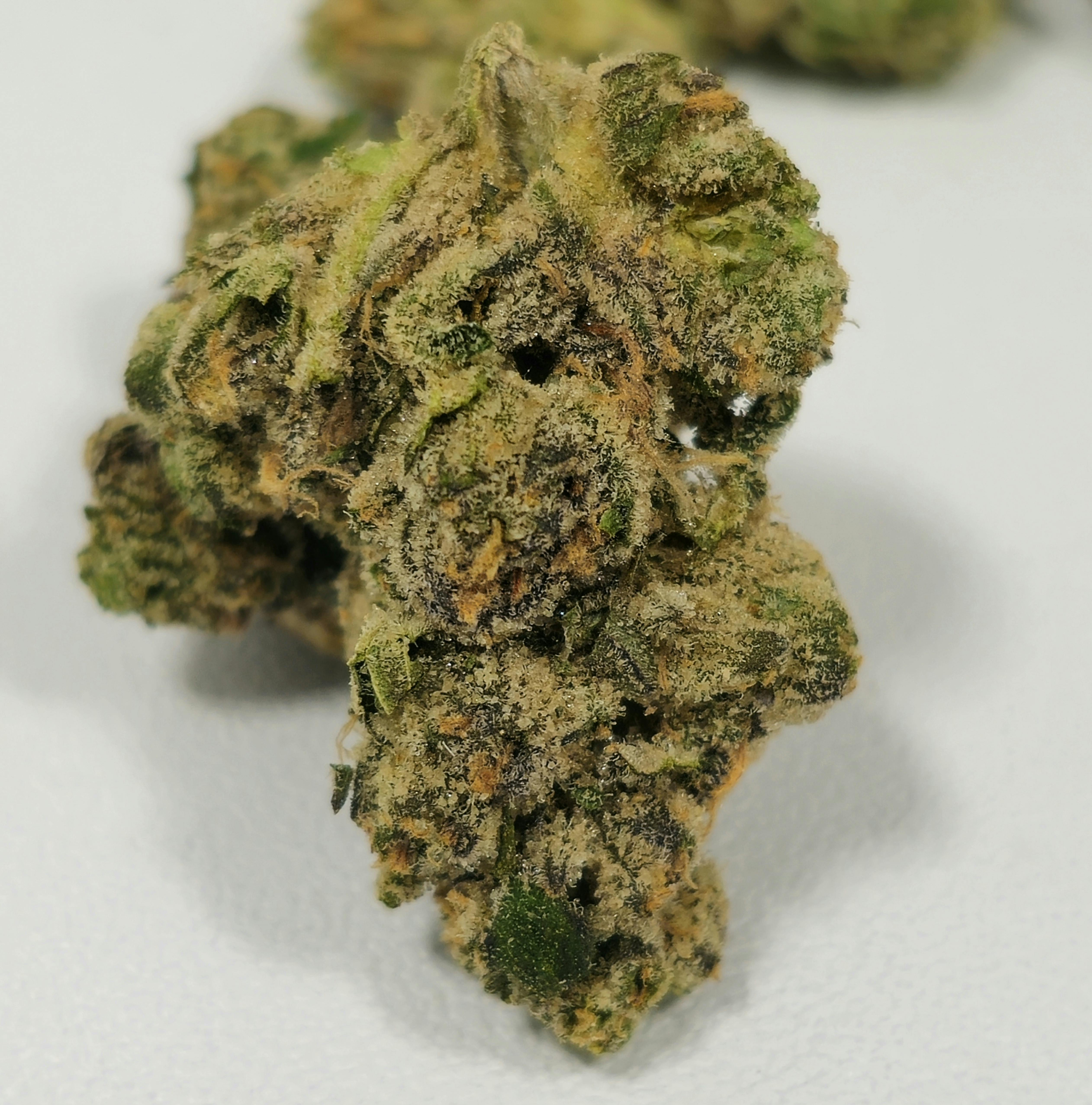Platinum Gelatti | High Supply | Buds | 7g