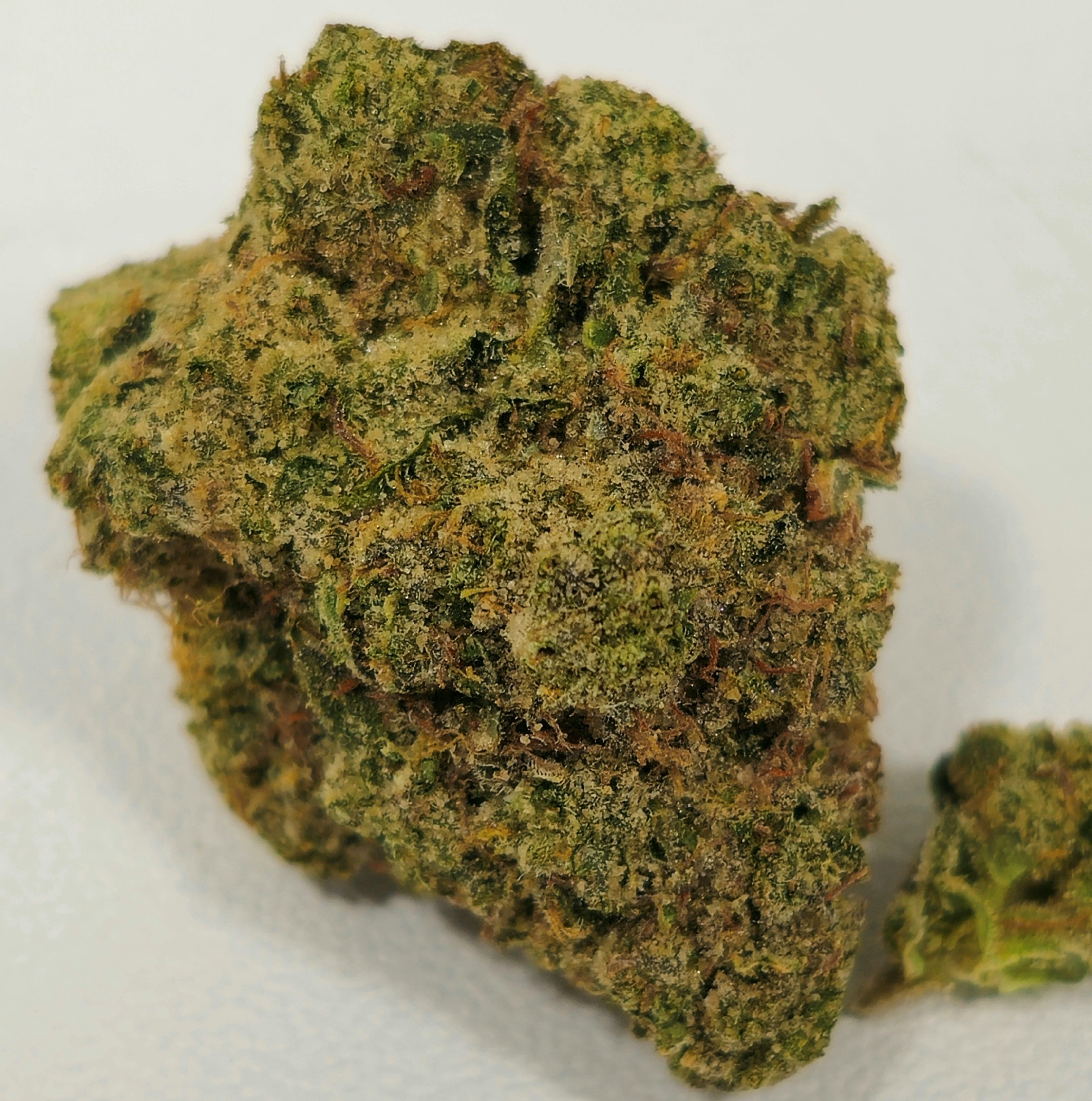 Black Triangle Kush | In House | Buds | 14g