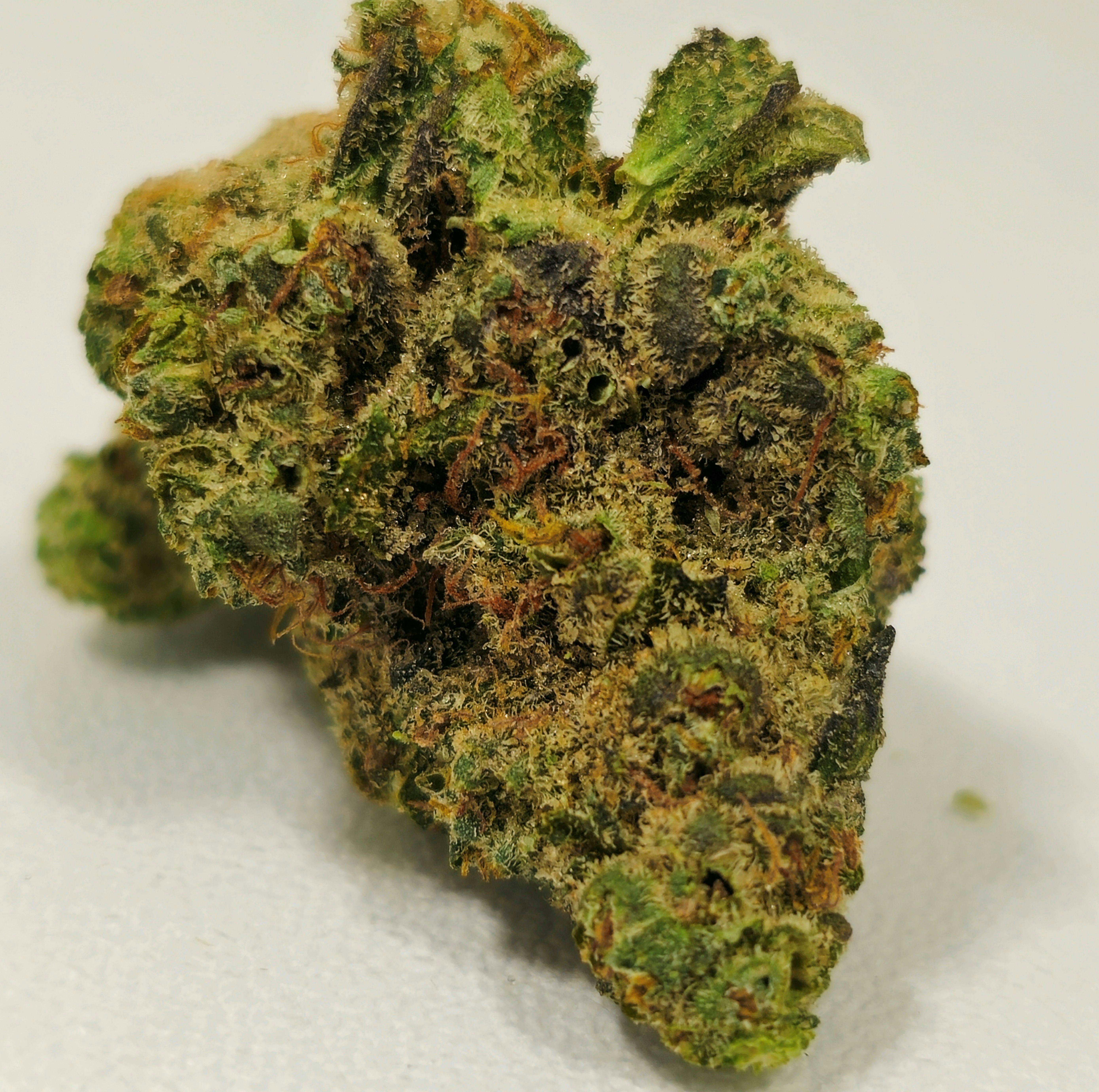 Gasoline Ganache | Ozone | 3.5g